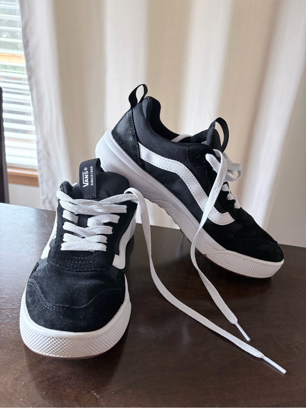 Vans Black and White Low-Top Skate Sneakers